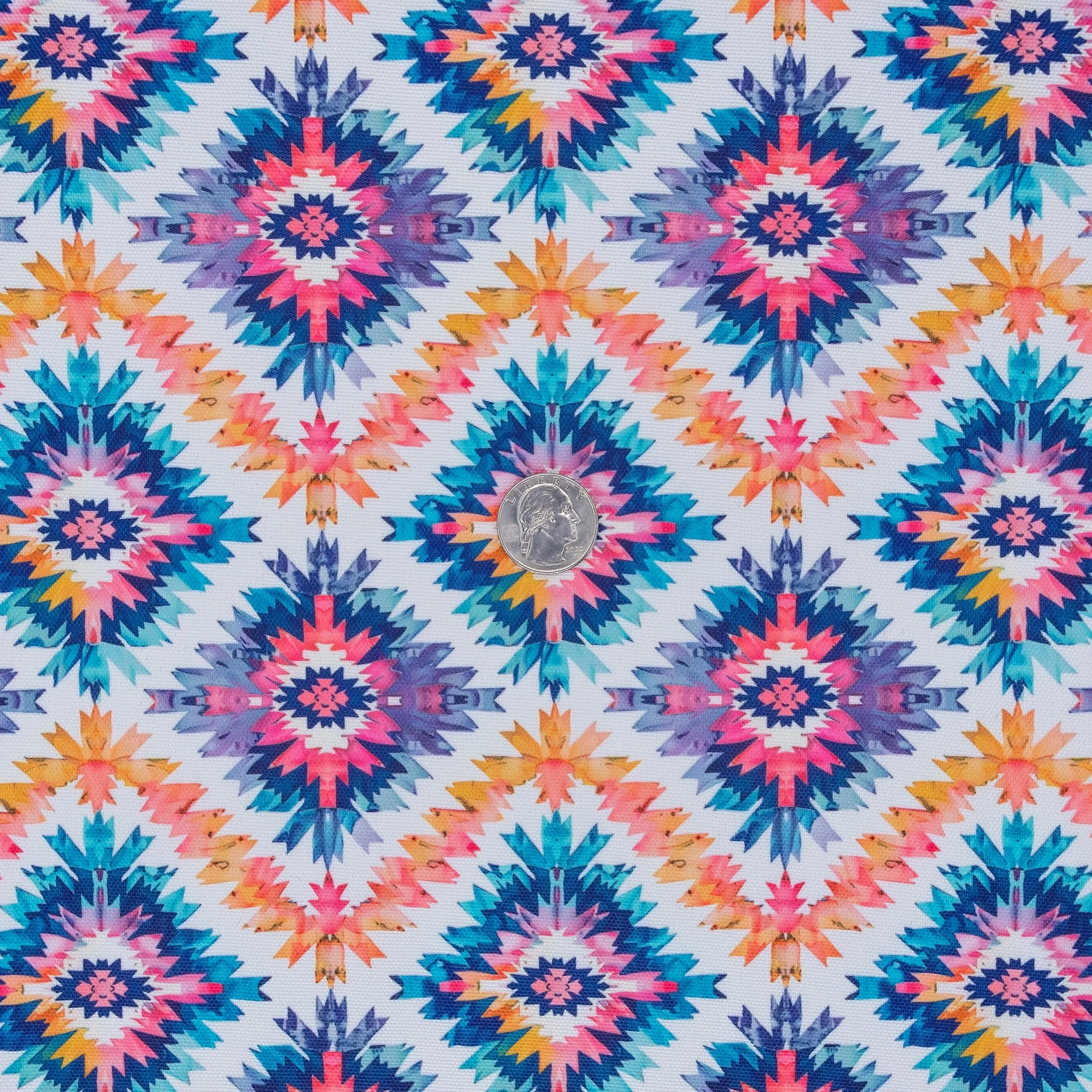 Desert Echo Water-Resistant Canvas 18" x 58" Roll